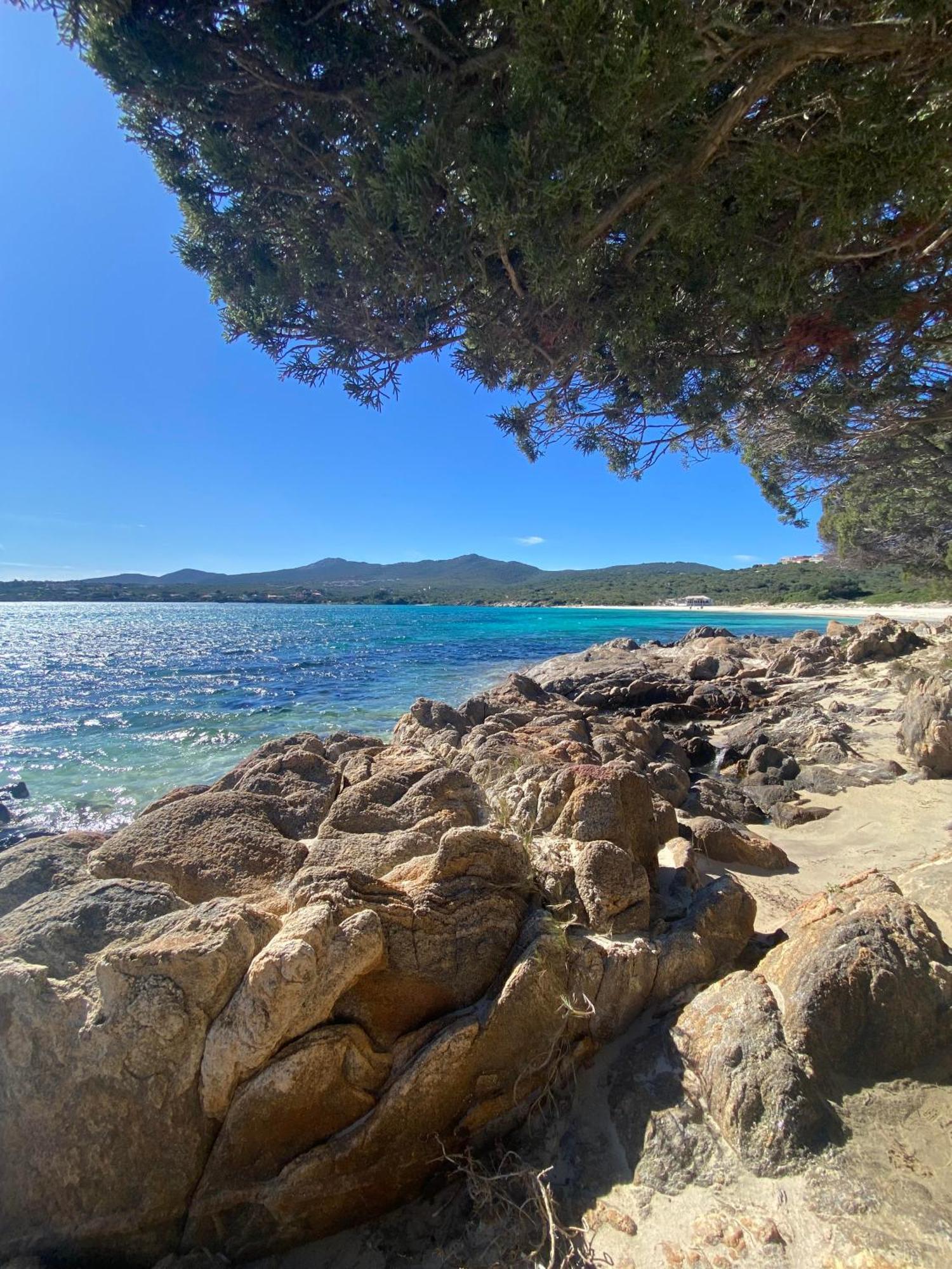 Int13 Via De Filippi Ξενοδοχείο Όλμπια Εξωτερικό φωτογραφία